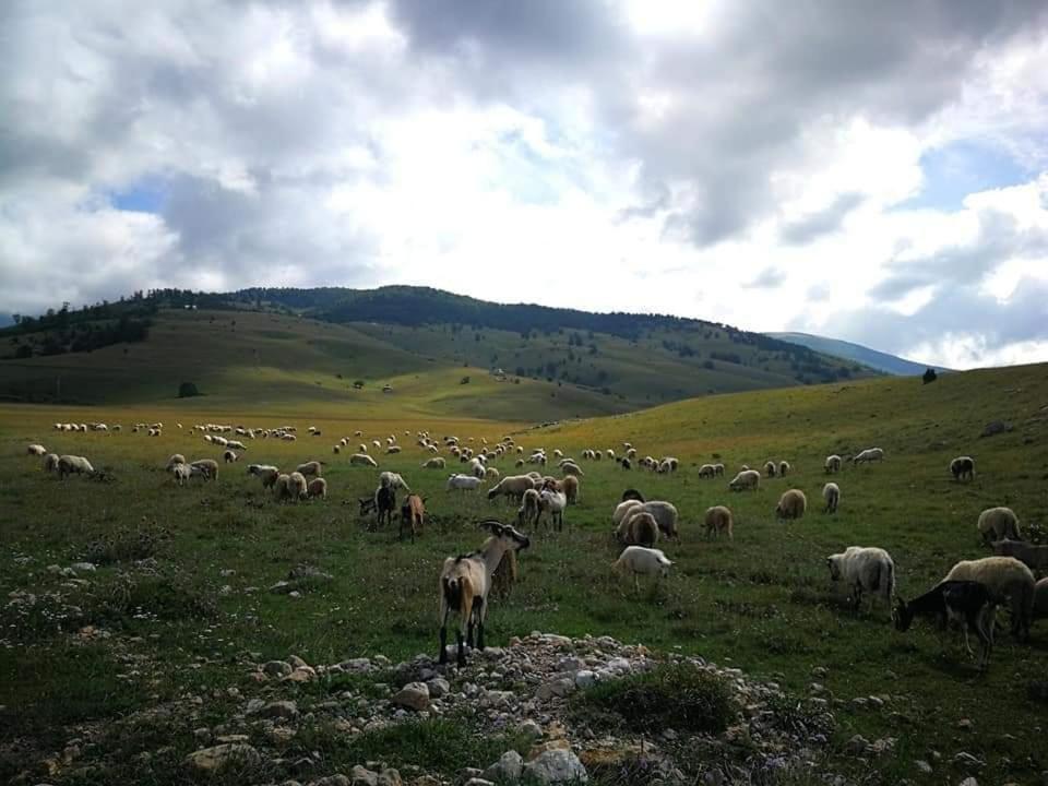 Natura As Gornji Lukomir Bagian luar foto