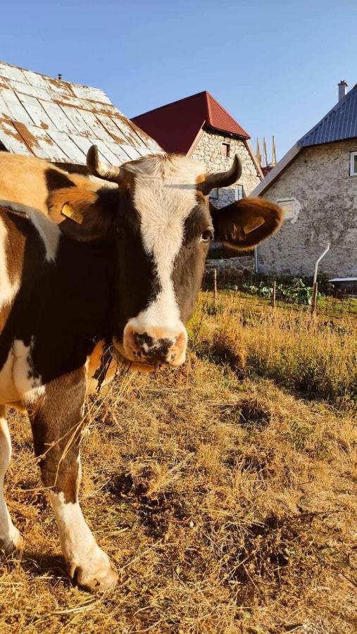 Natura As Gornji Lukomir Bagian luar foto