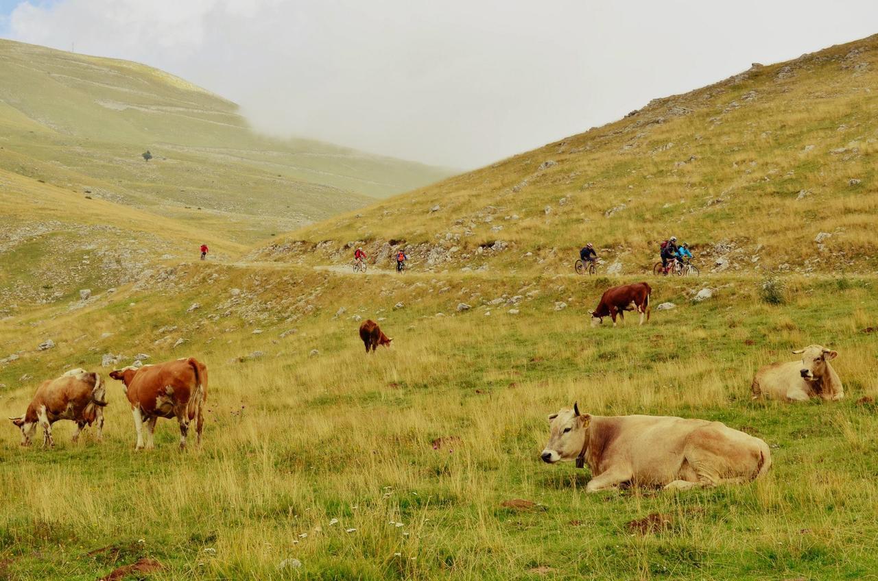 Natura As Gornji Lukomir Bagian luar foto